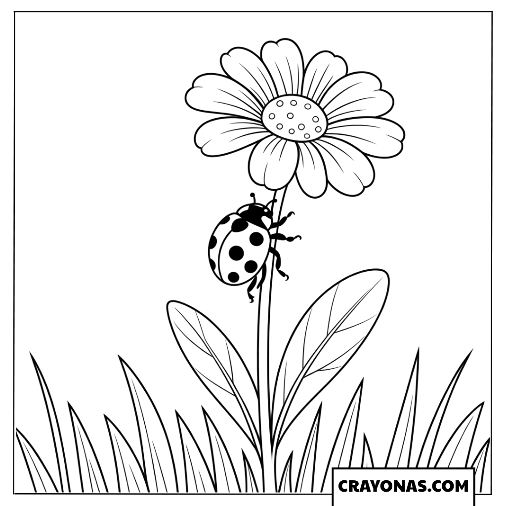 Ladybug on Daisy Coloring Page
