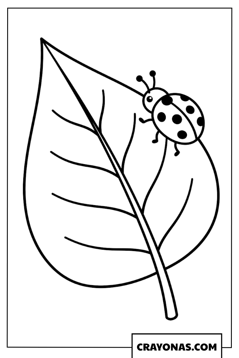 Ladybug on Leaf Coloring Page