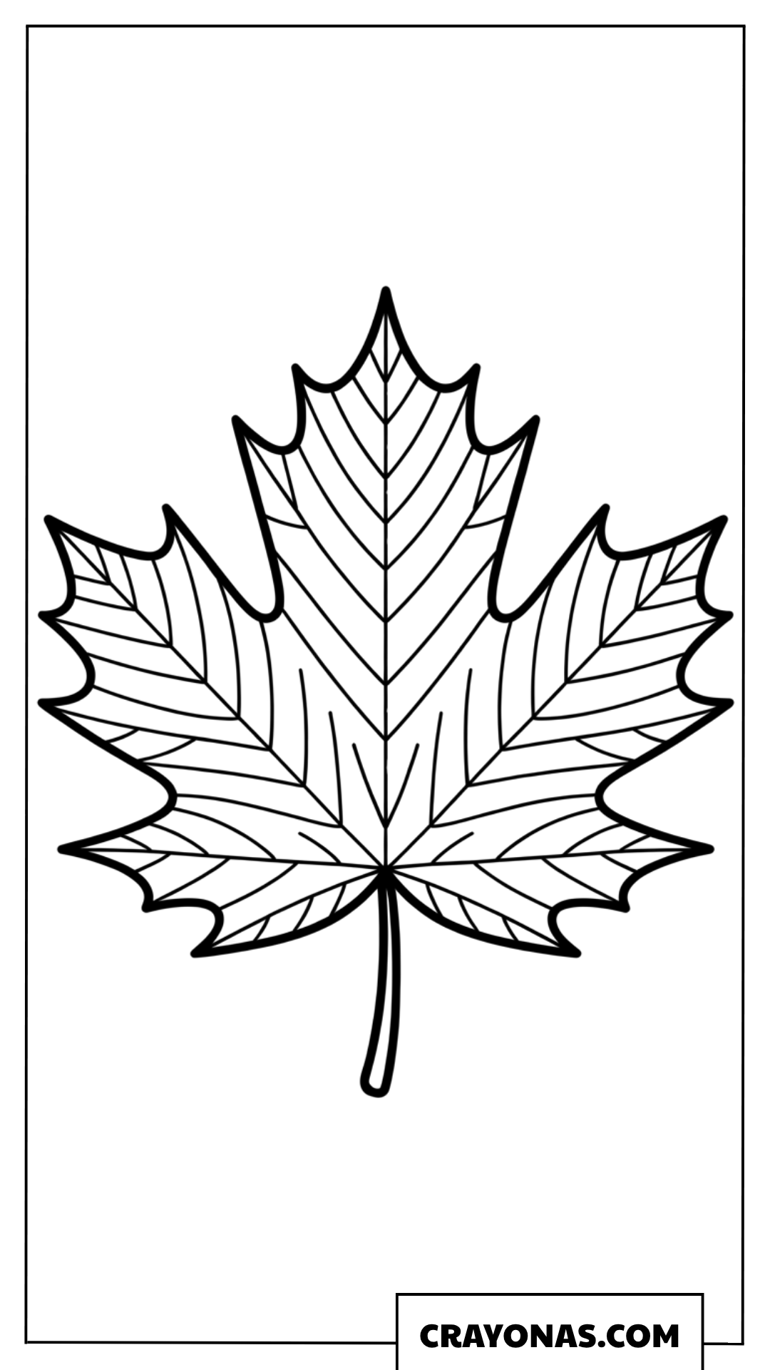 Large Detailed Maple Leaf Fall Coloring Page