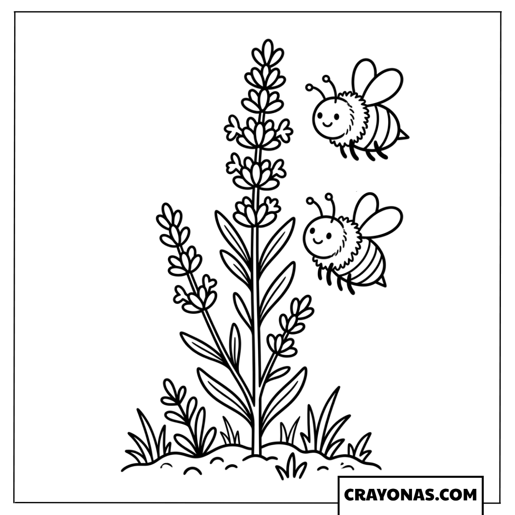 Lavender Flowers with Bees Coloring Page