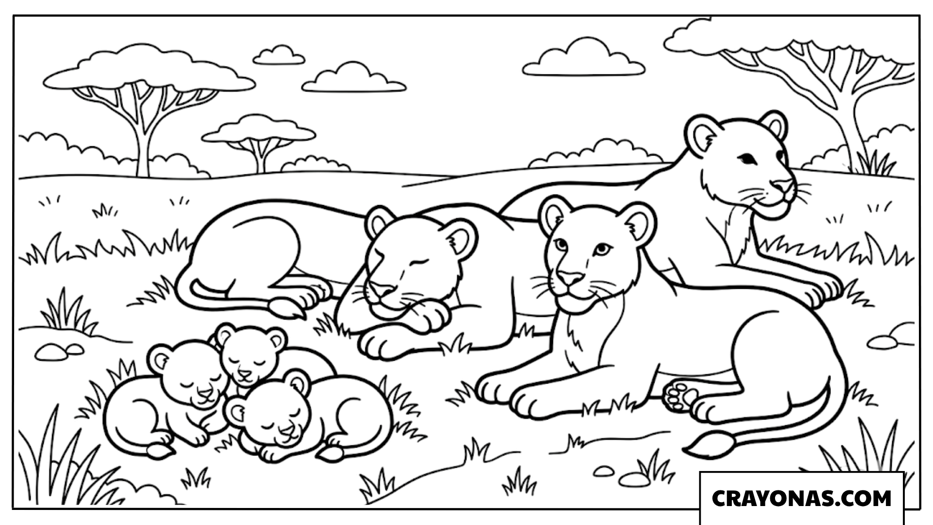 Lion Pride Resting Coloring Page