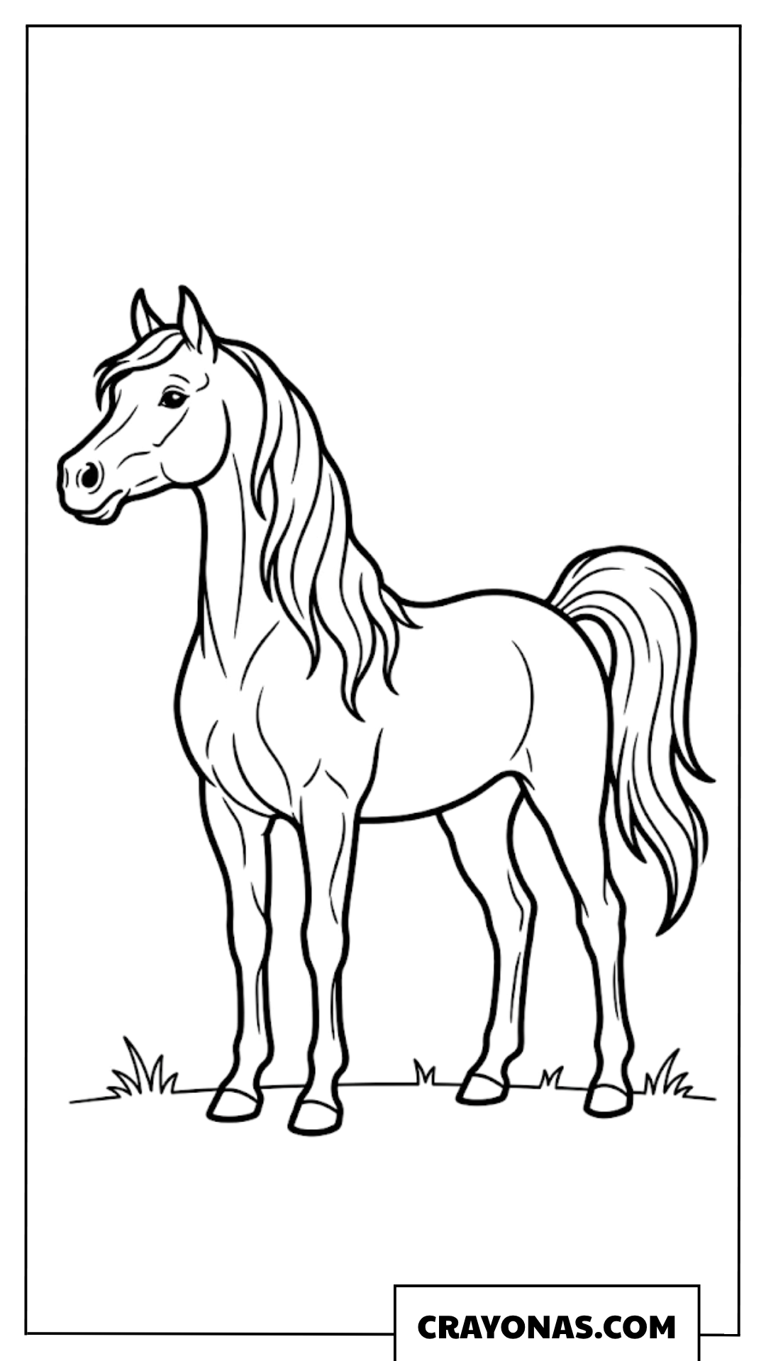 Majestic Standing Horse Coloring Page