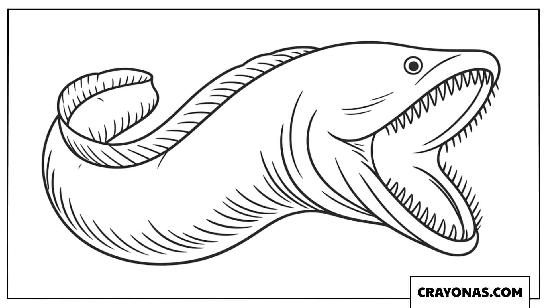 Moray Eel Coloring Page