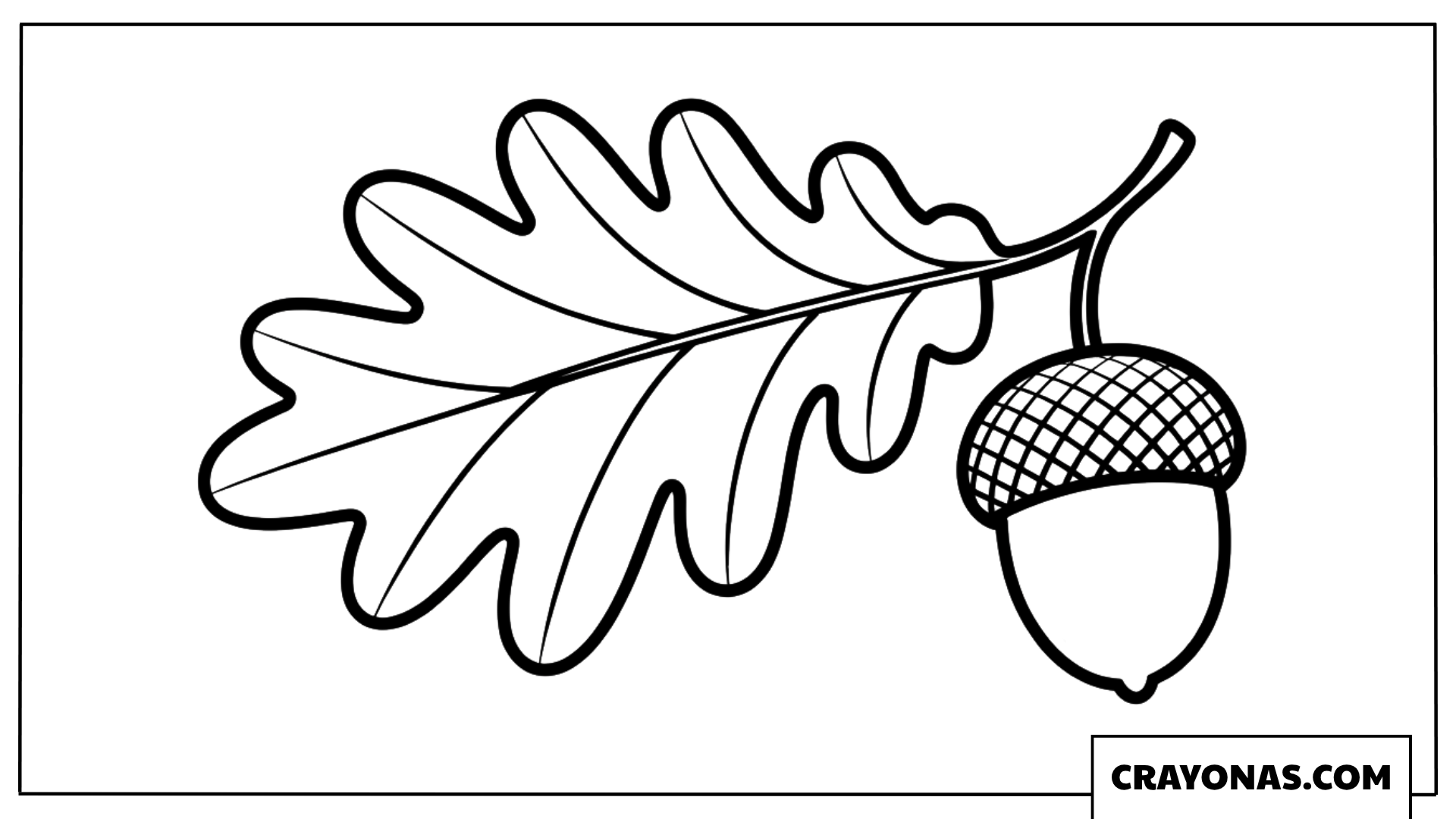 Oak Leaf with Acorn Realistic Coloring Page