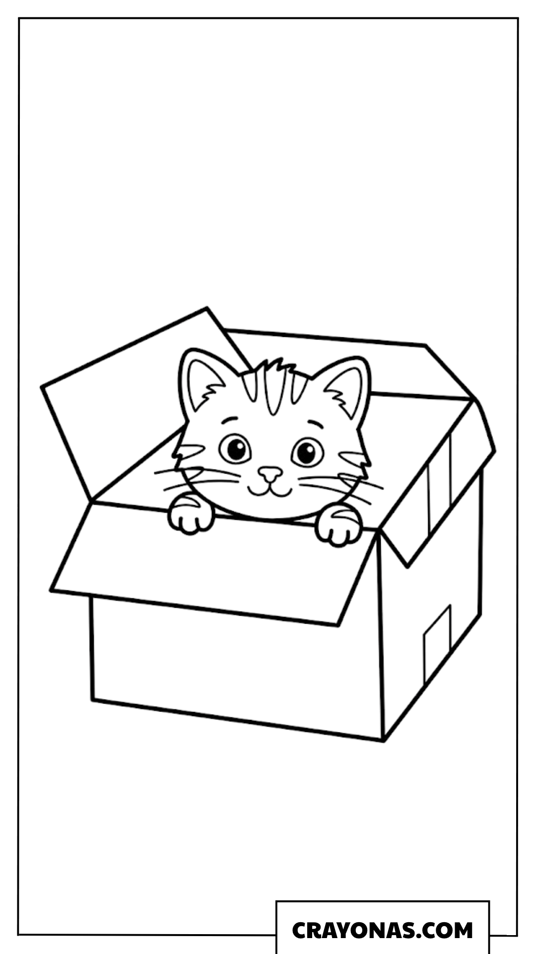 Playful Kitten in Box Coloring Page
