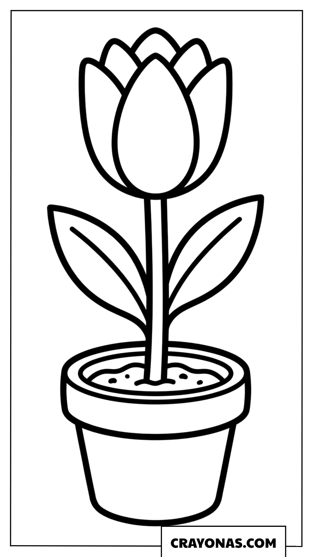 Potted Tulip Flower Coloring Page