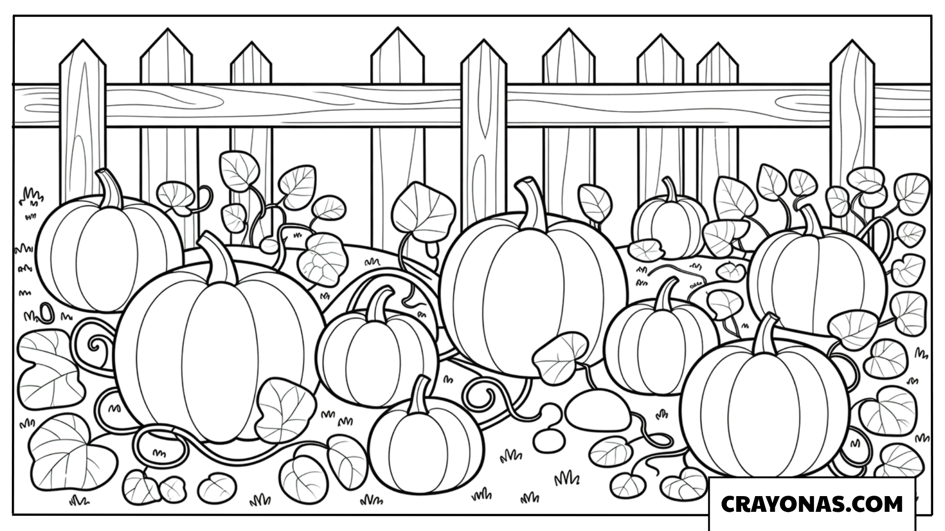 Pumpkin Patch Behind Wooden Fence Coloring Page