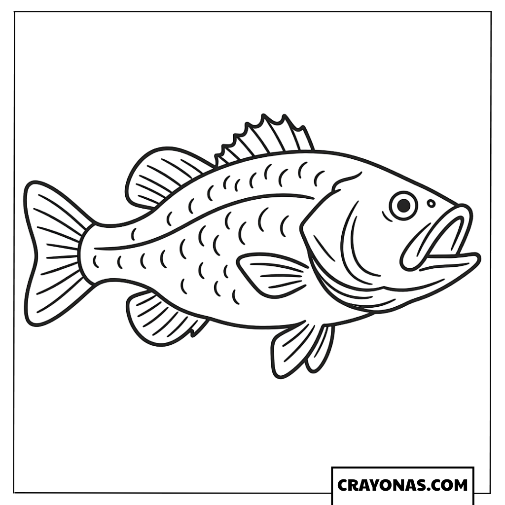 Realistic Bass Fish Coloring Page