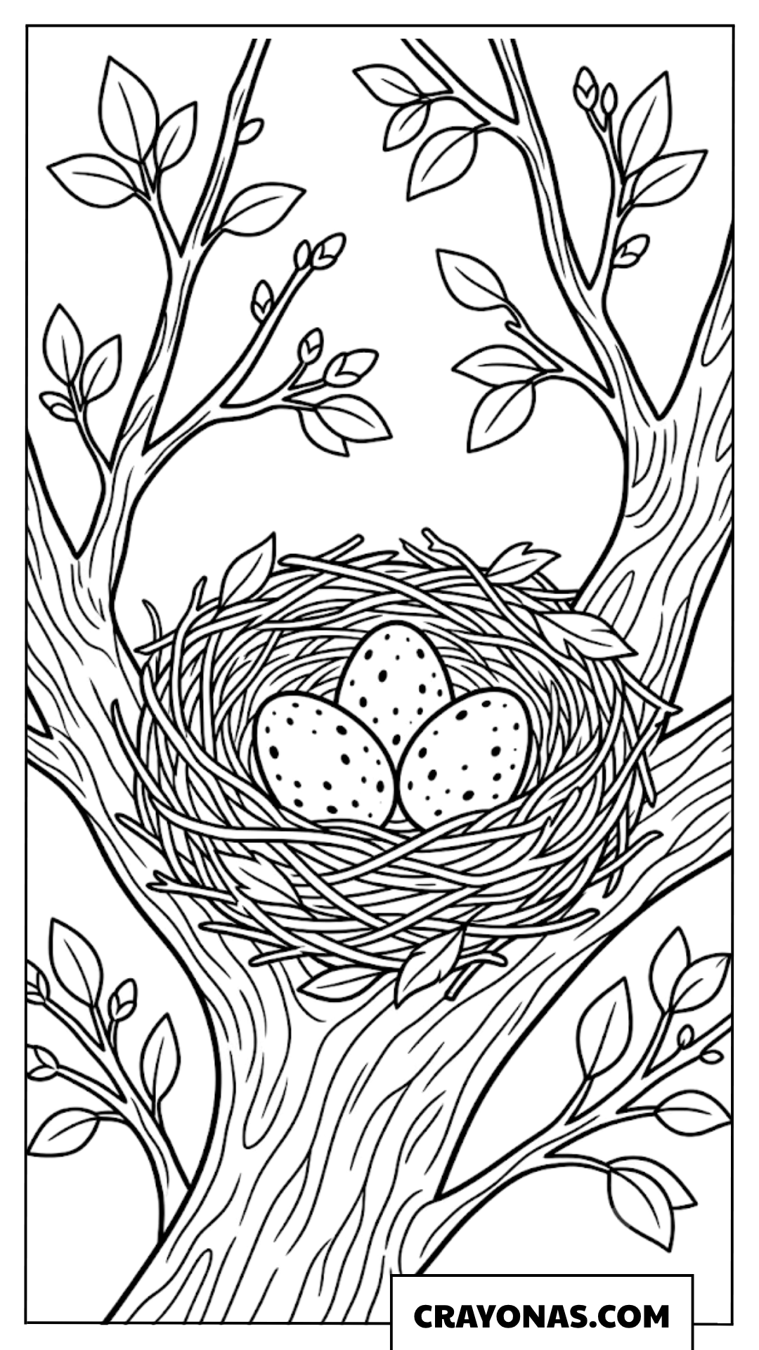 Realistic Bird Nest with Easter Eggs Coloring Page