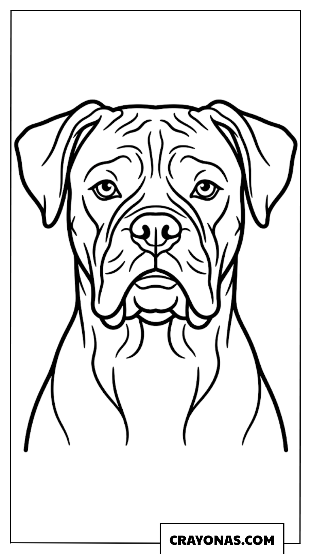 Realistic Boxer Dog Portrait Coloring Page