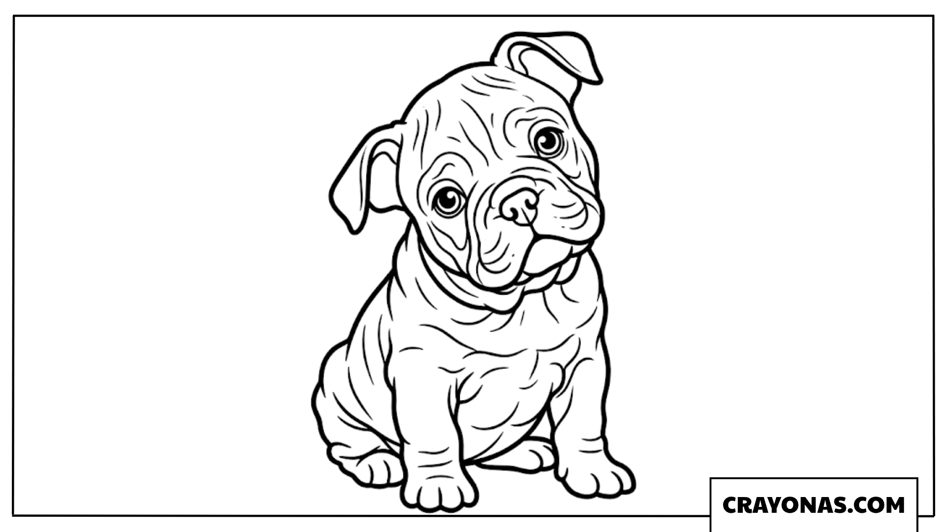 Realistic Bulldog Puppy Coloring Page