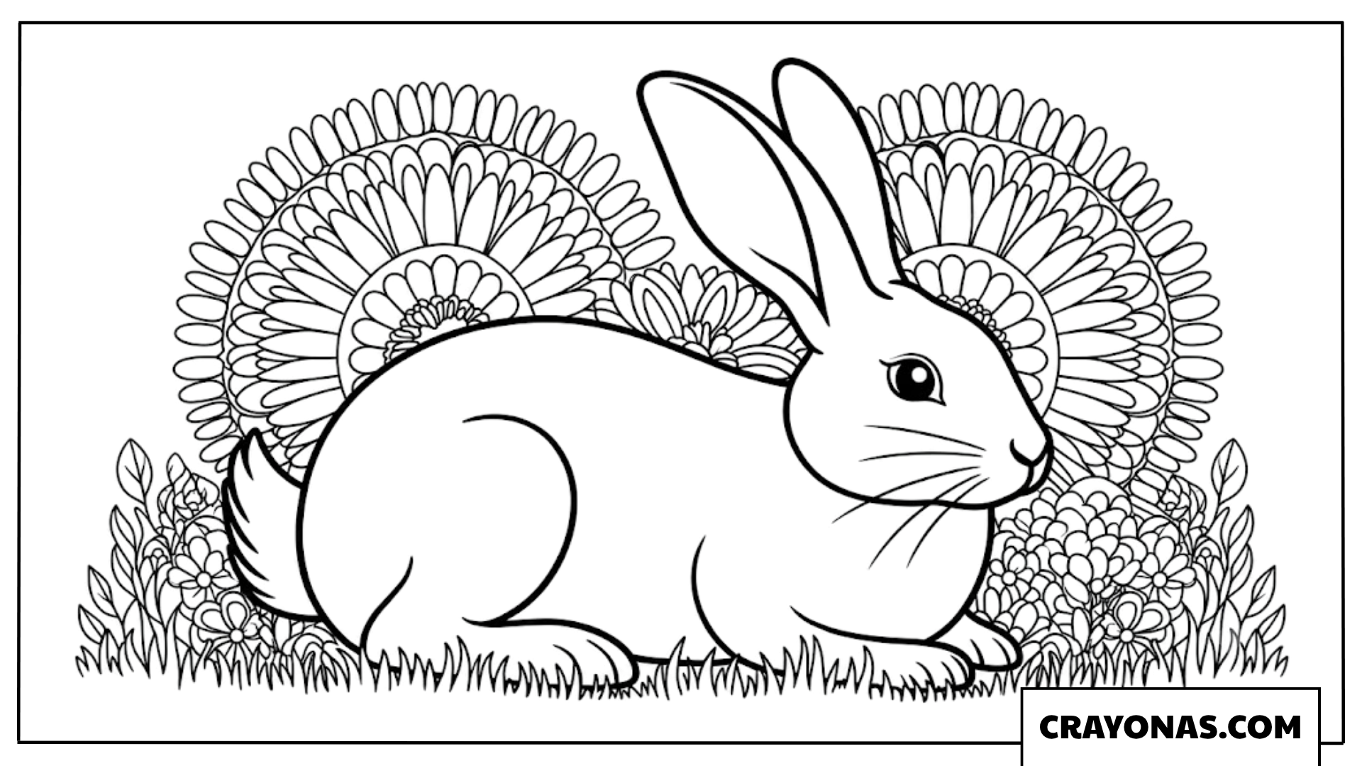Realistic Bunny in Meadow Coloring Page