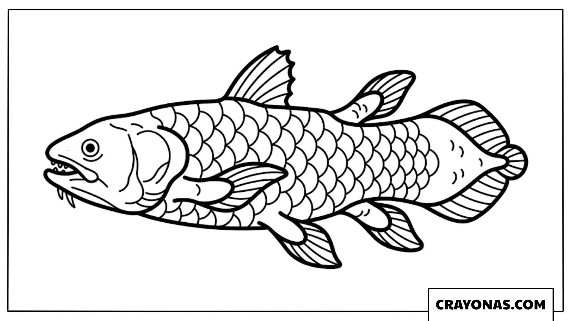 Realistic Carp Fish Coloring Page