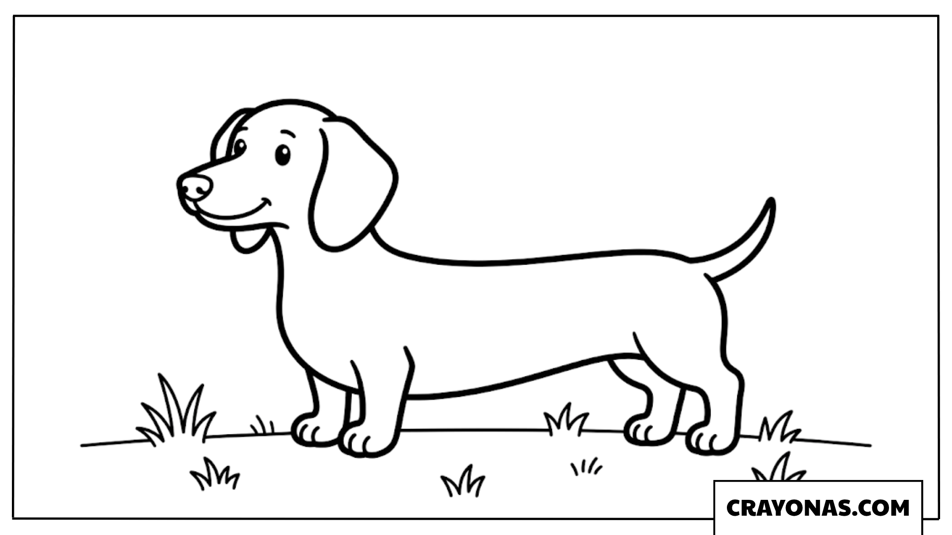 Realistic Dachshund Puppy Coloring Page