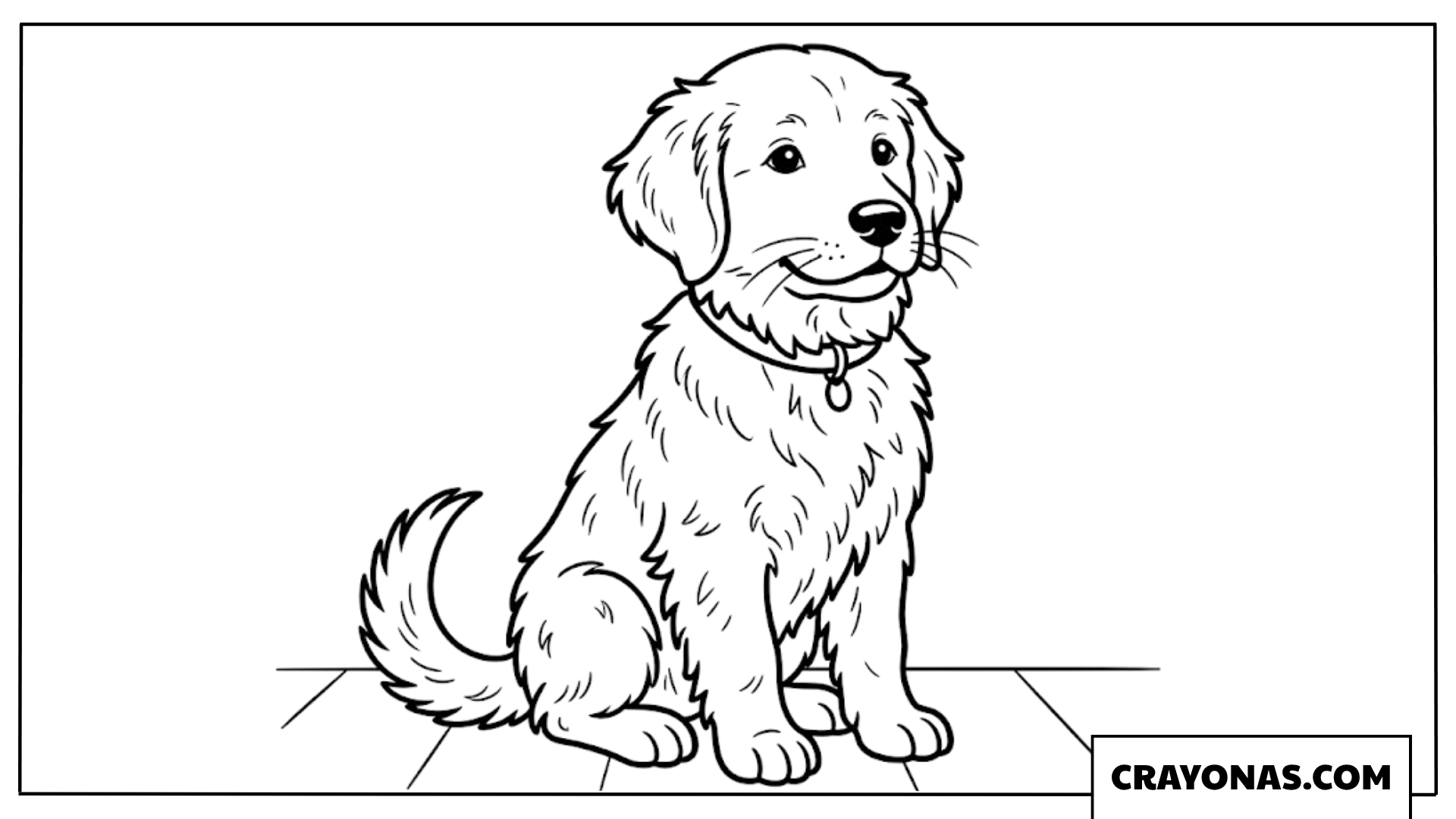 Realistic Golden Retriever Puppy Coloring Page