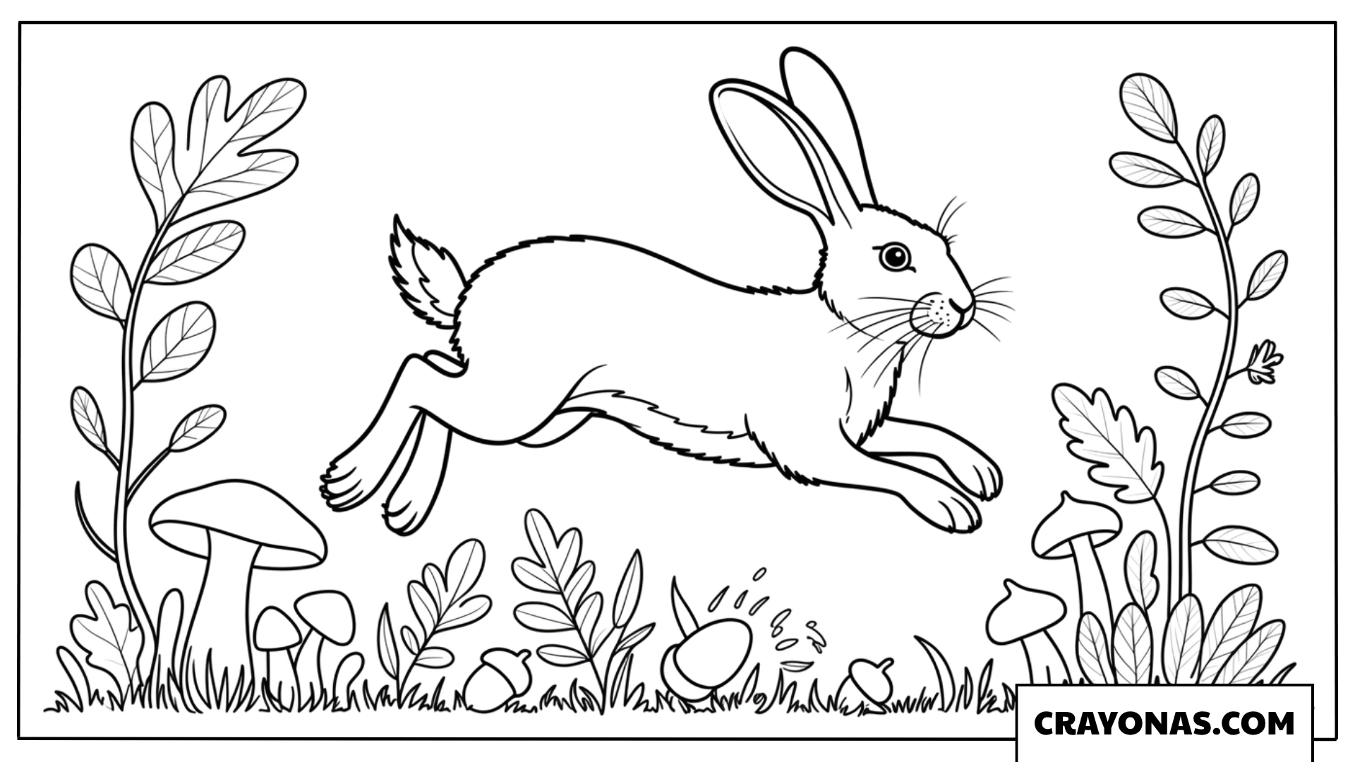 Realistic Jumping Rabbit in Wild Nature Coloring Page