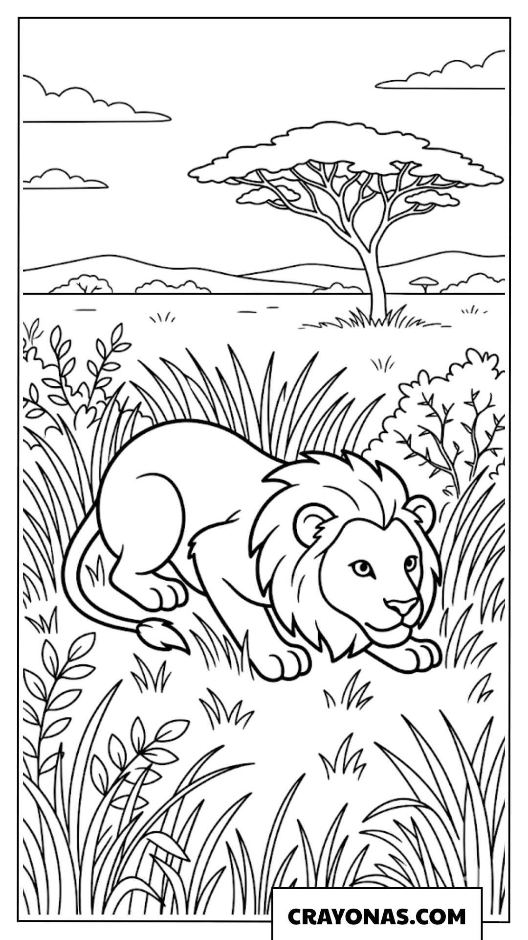 Realistic Lion Walking in Grass Coloring Page