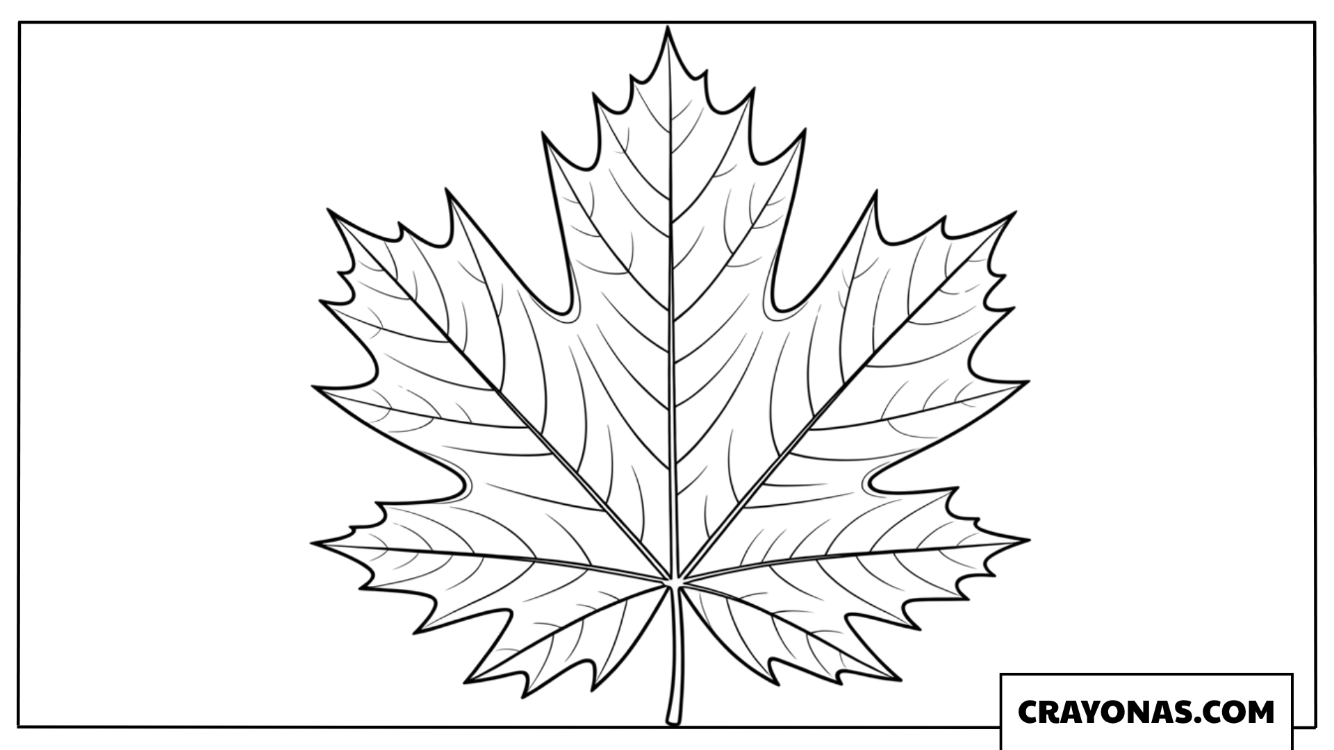 Realistic Maple Leaf Outline Fall Coloring Page