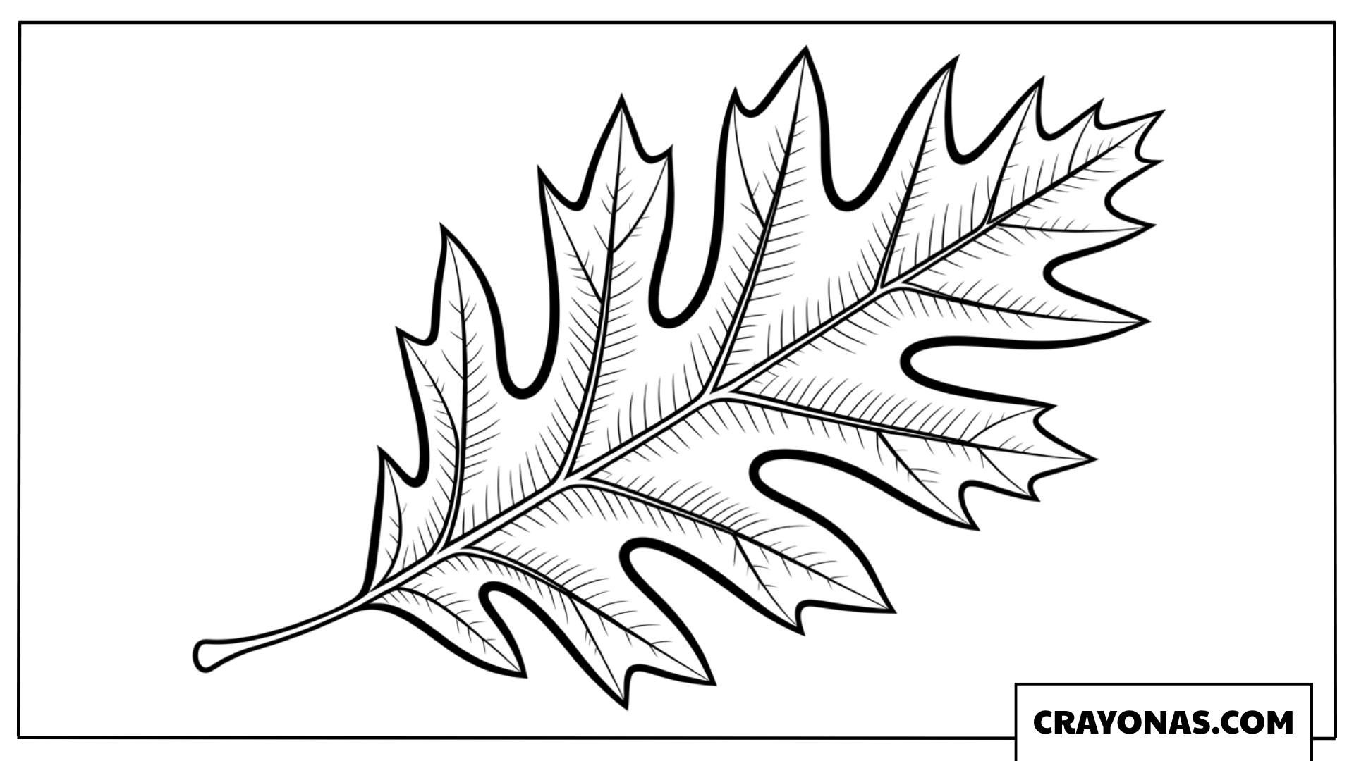Realistic Oak Leaf Outline Fall Coloring Page