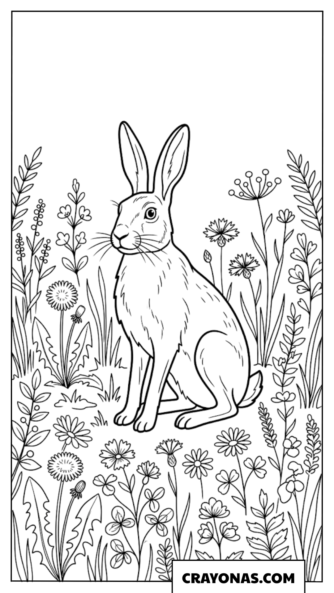 Realistic Rabbit in Wildflower Field Coloring Page