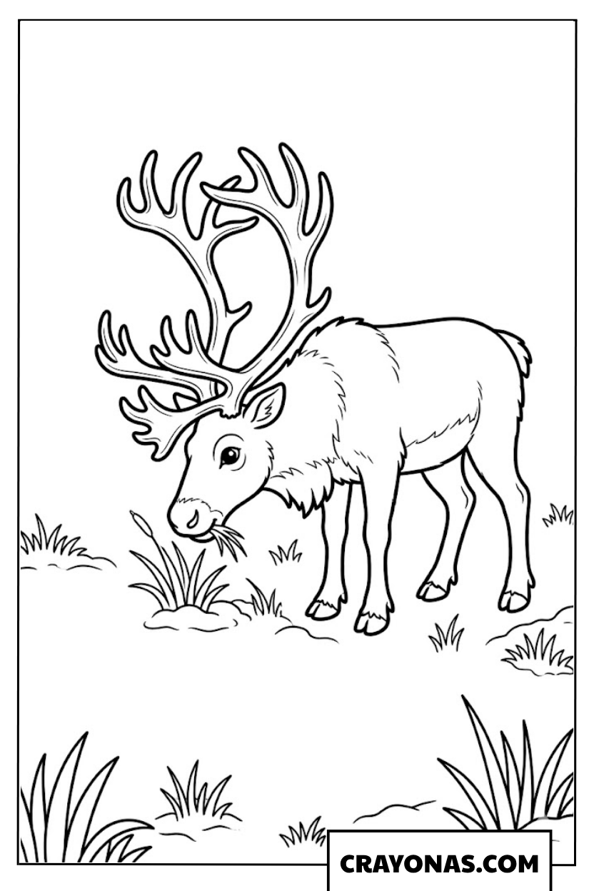 Realistic Reindeer Grazing Coloring Page