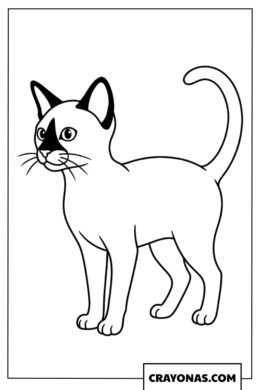 Realistic Siamese kitten coloring page
