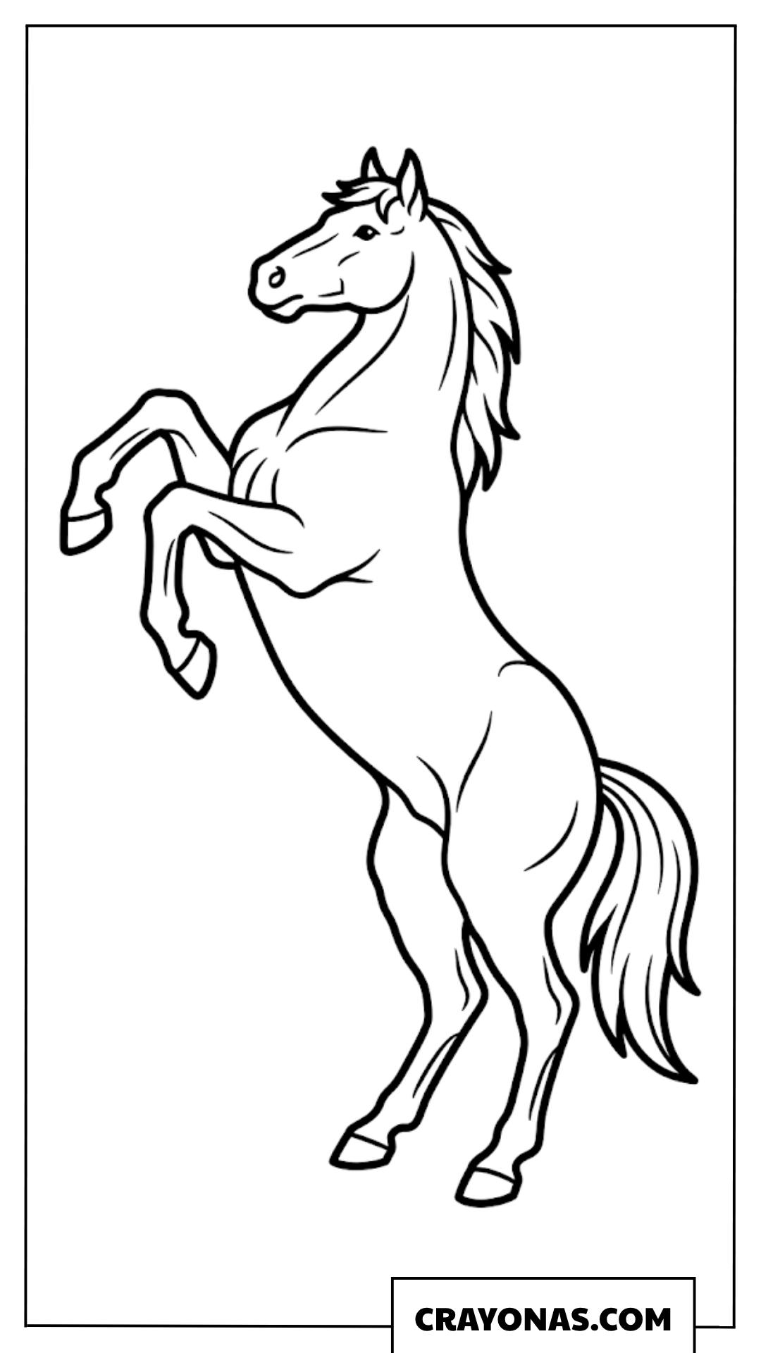 Rearing Horse Coloring Page