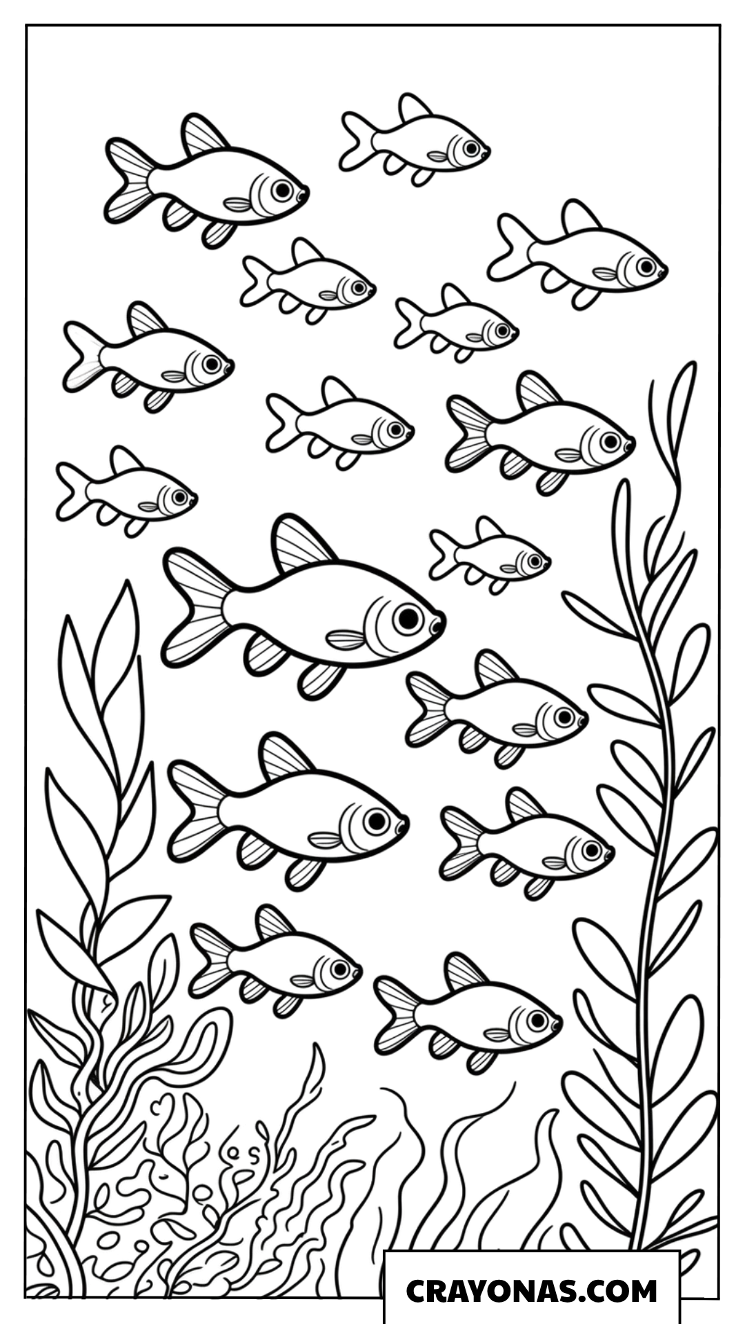 School of Fish Swimming Coloring Page