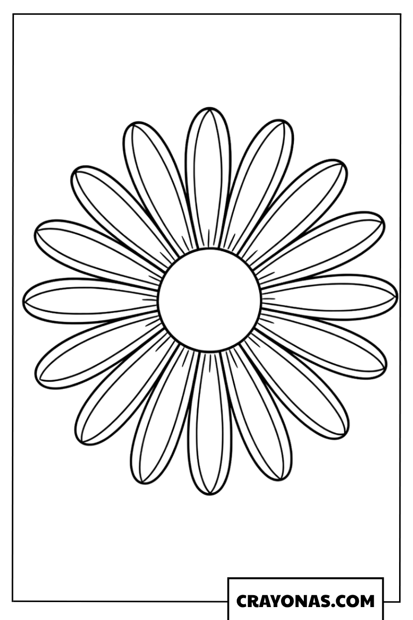 Simple Daisy Flowers Coloring Page