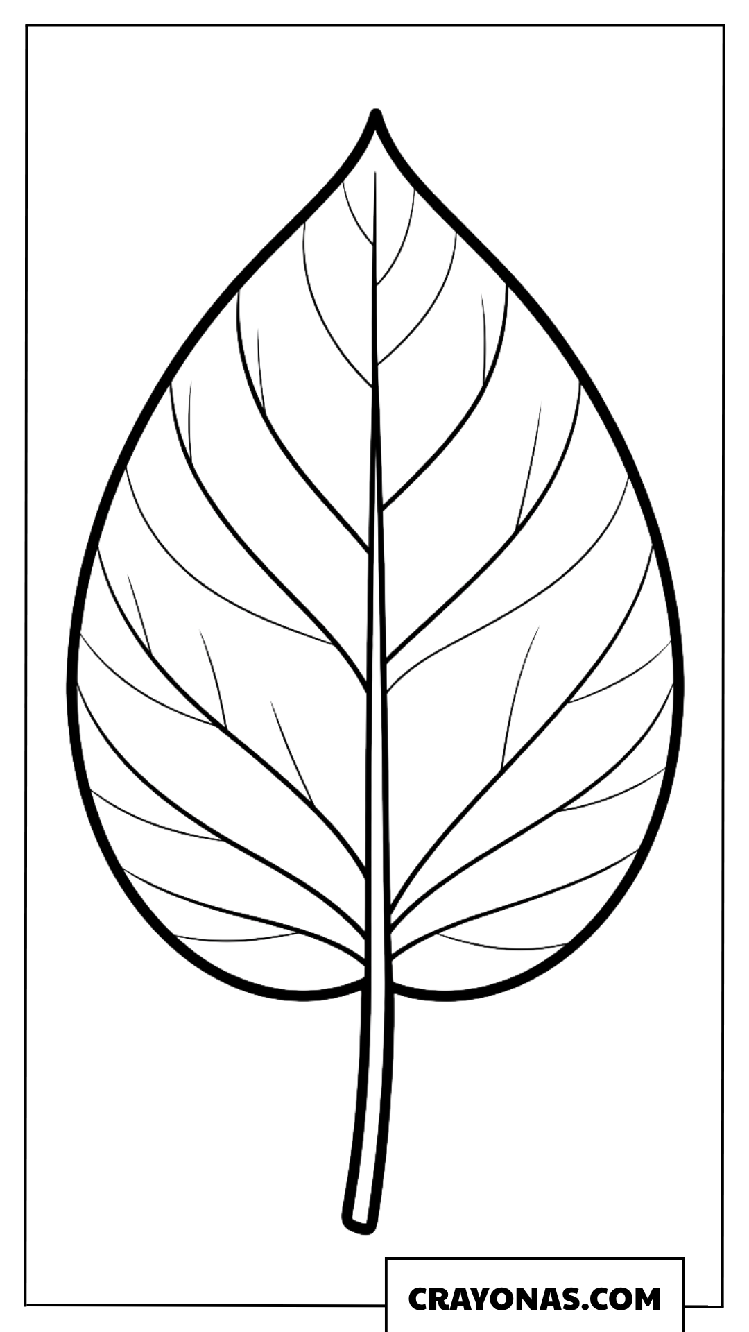 Simple Large Leaf Fall Coloring Page