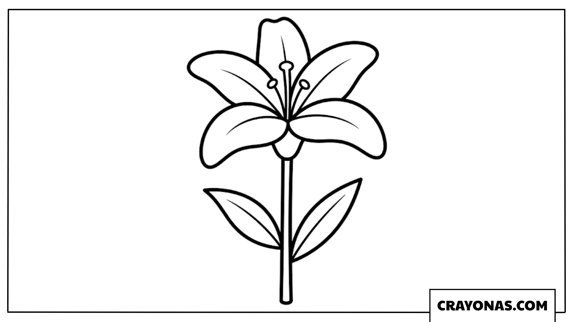 Simple Lily Coloring Page