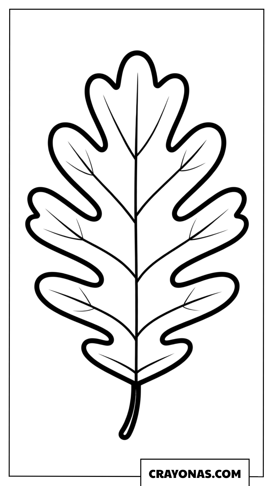 Simple Oak Leaf Outline Fall Coloring Page