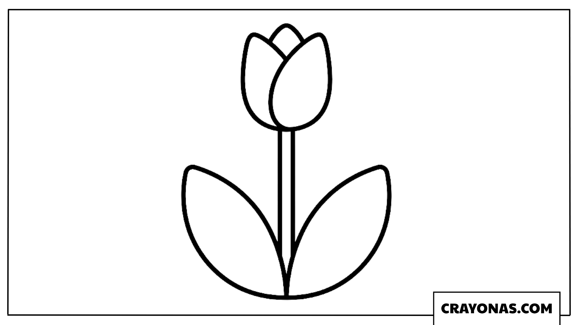 Simple Tulip Coloring Page