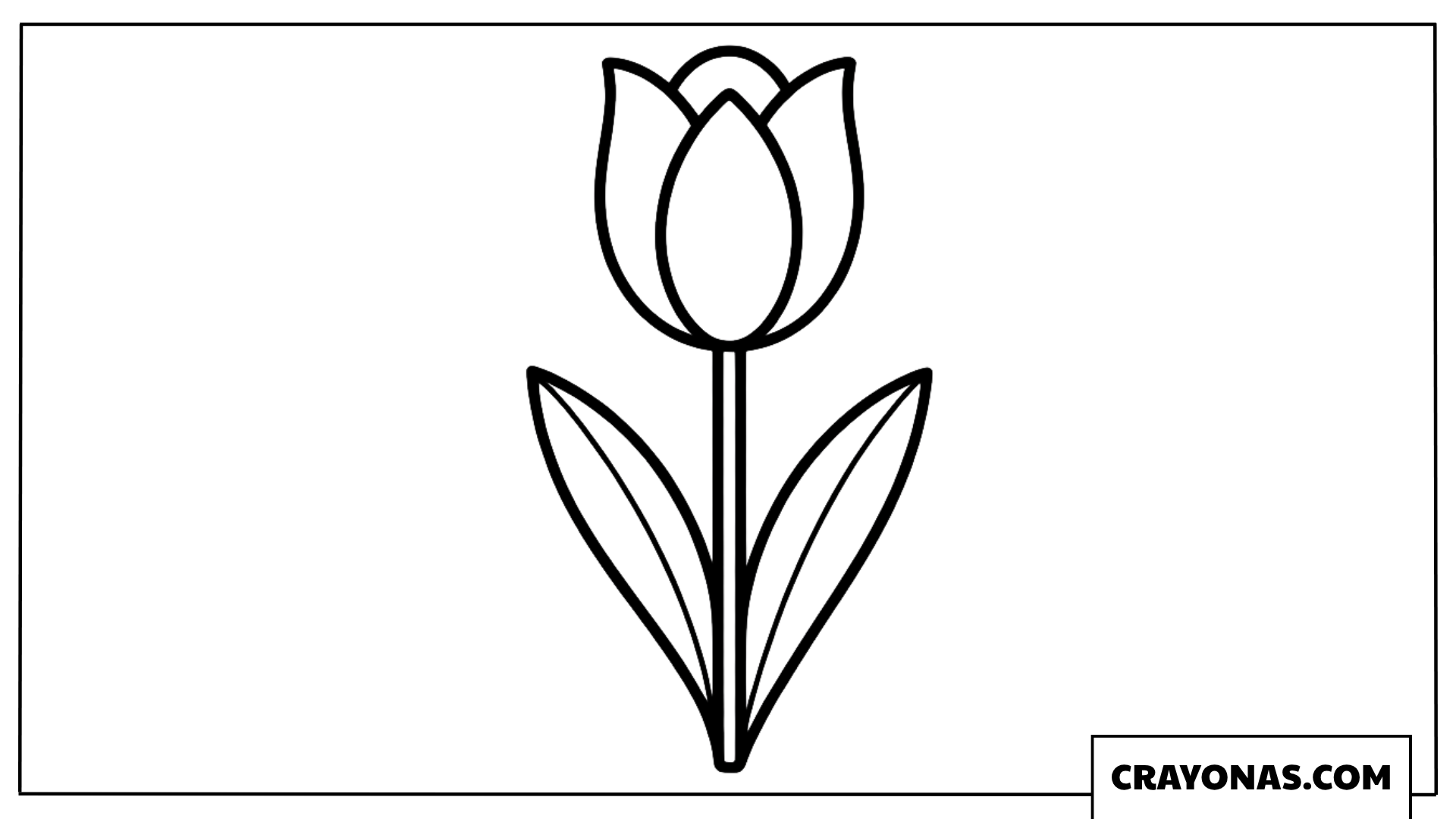 Simple Tulip Flower Coloring Page