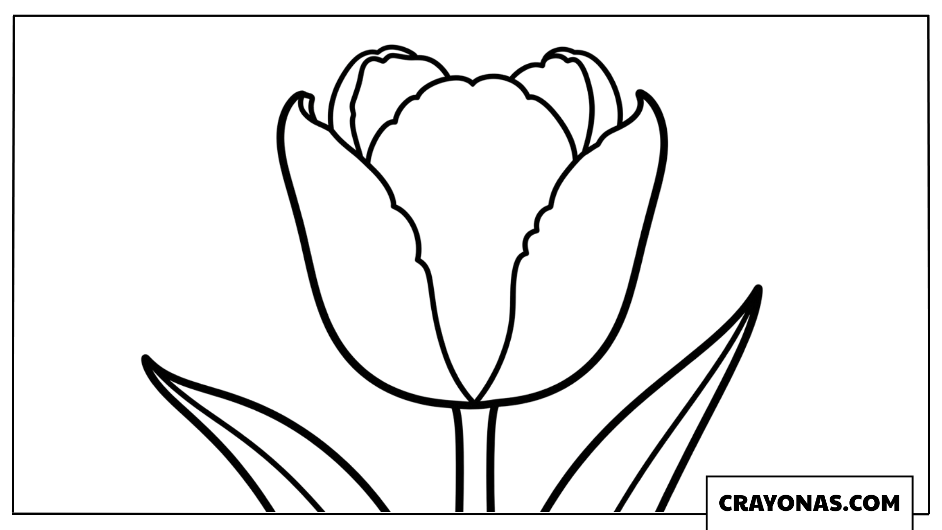 Single Tulip Coloring Page