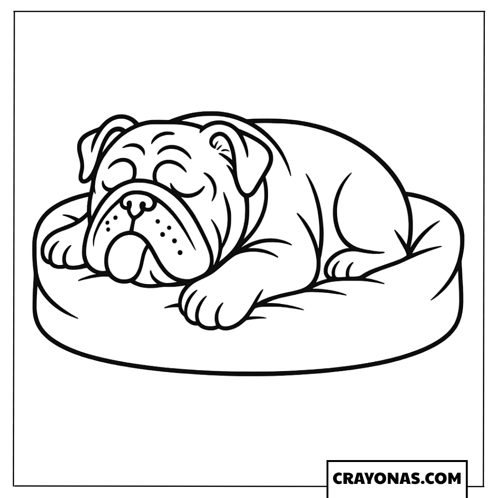 Sleeping Pug in Bed Coloring Page