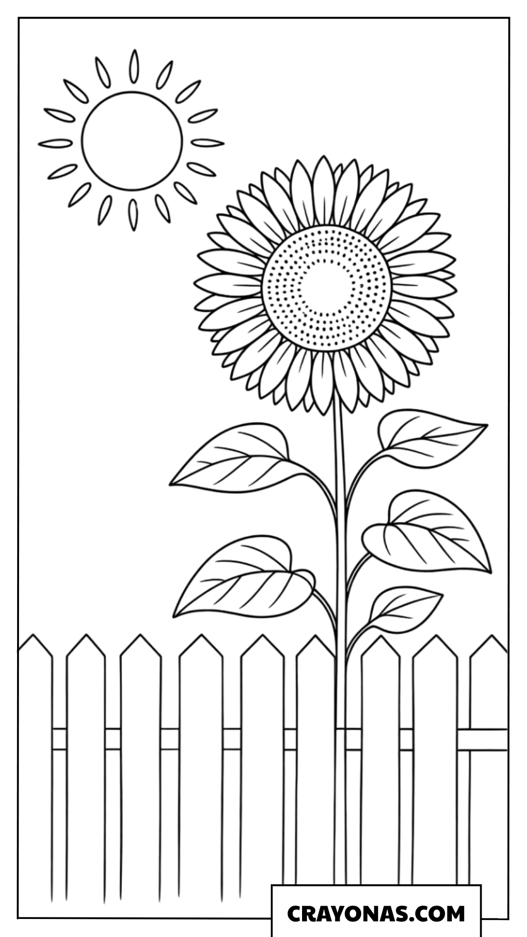 Sunflower in Garden Coloring Page