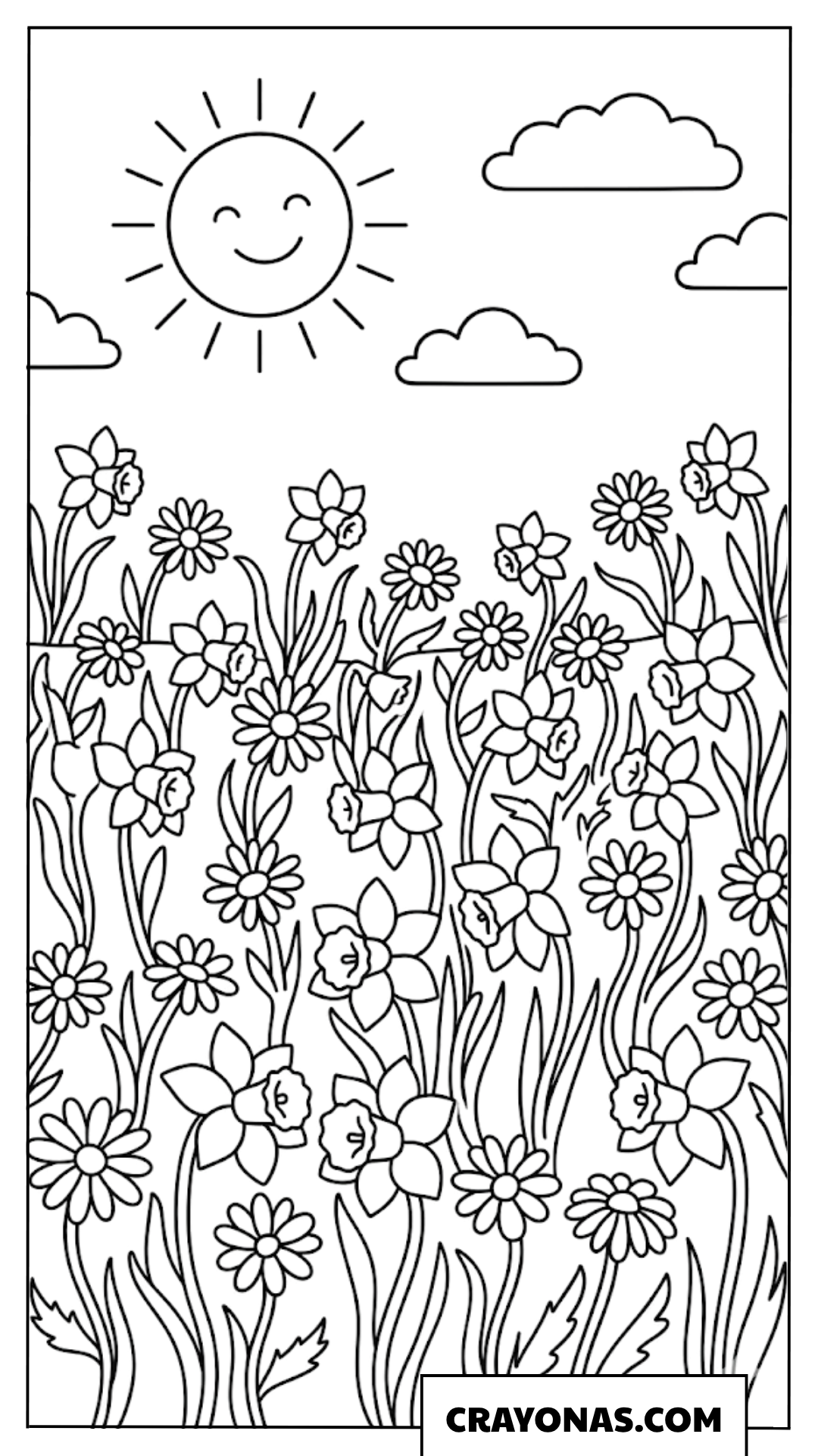 Sunny Daffodil Meadow Coloring Page