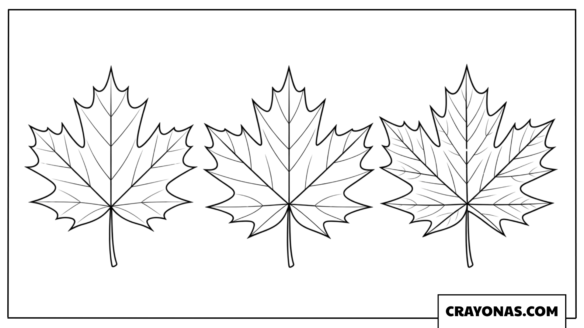 Three Realistic Maple Leaves Fall Coloring Page