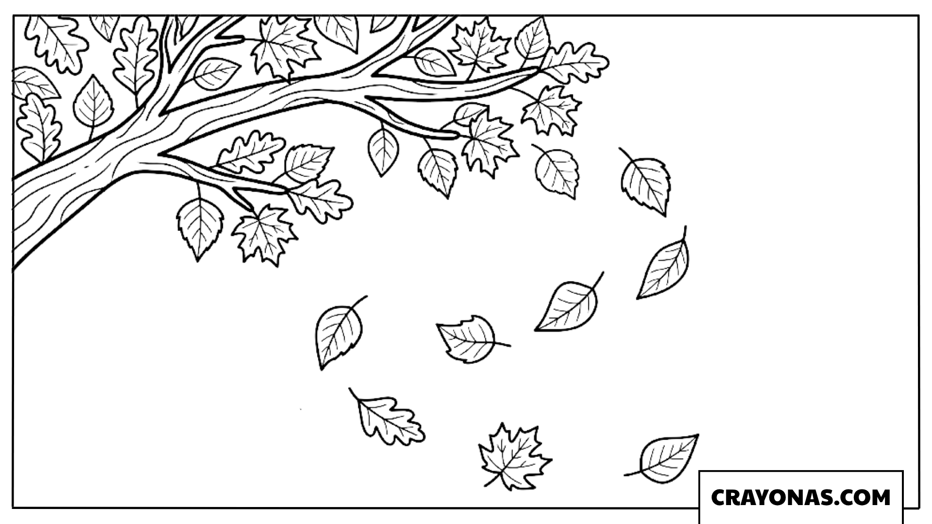 Tree Branch with Falling Leaves Coloring Page