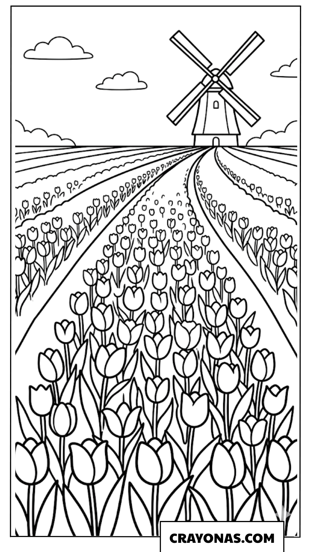 Tulip Field with Windmill Coloring Page