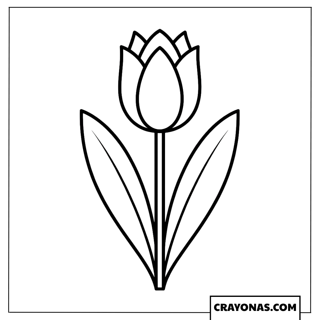 Tulip Flower Coloring Page