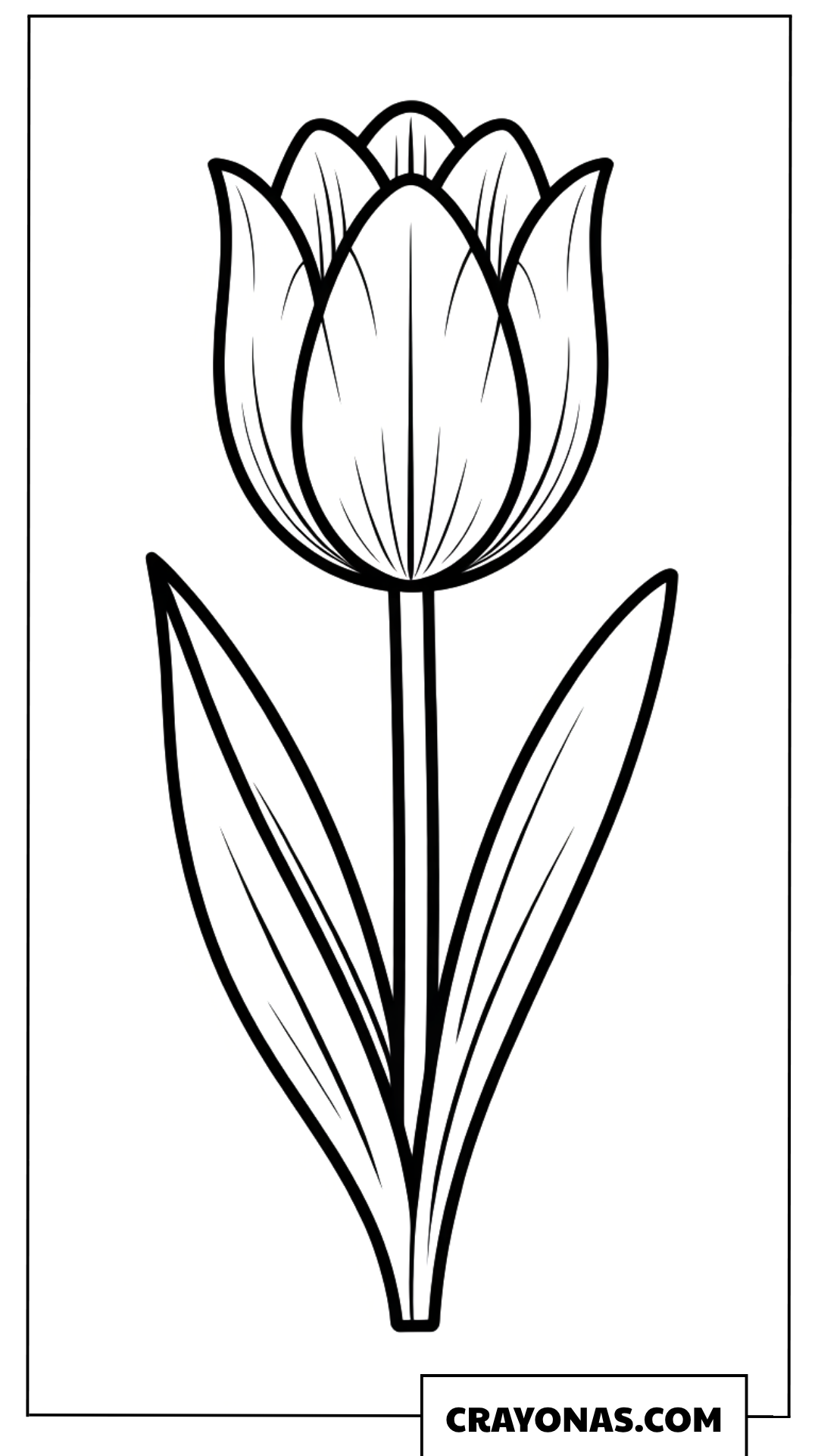 Tulip Flower Coloring Page