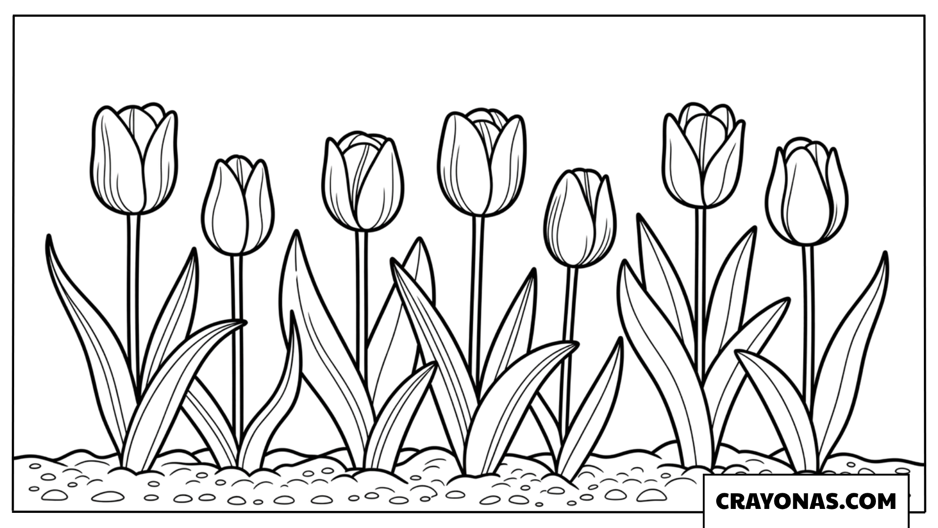 Tulip Garden Coloring Page