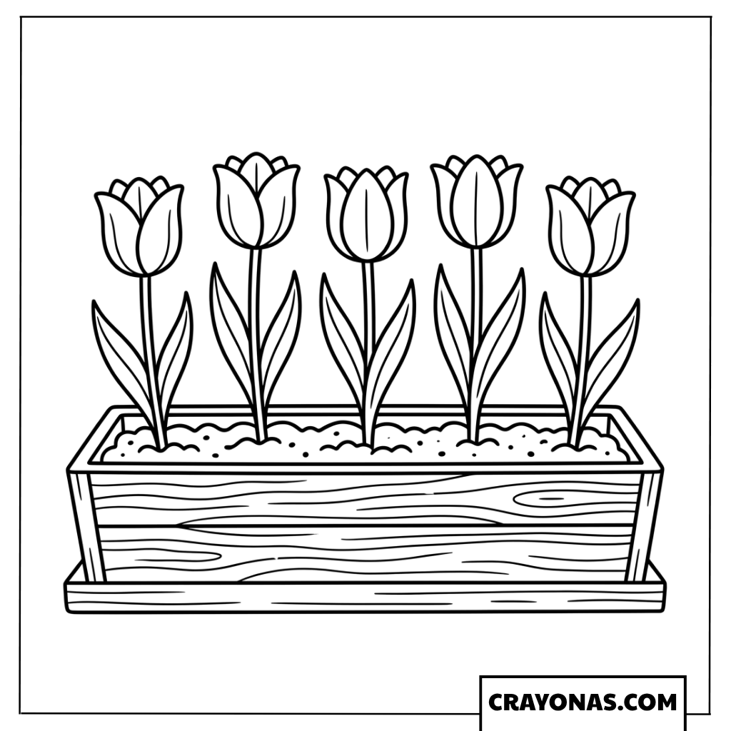 Tulips in Planter Box Coloring Page