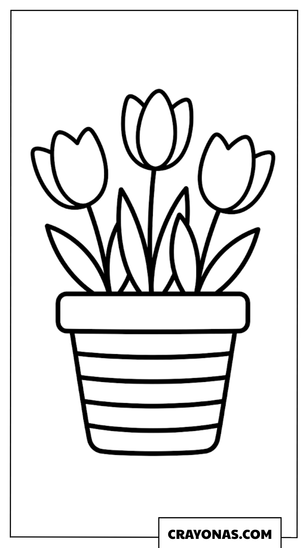 Tulips in Striped Pot Coloring Page