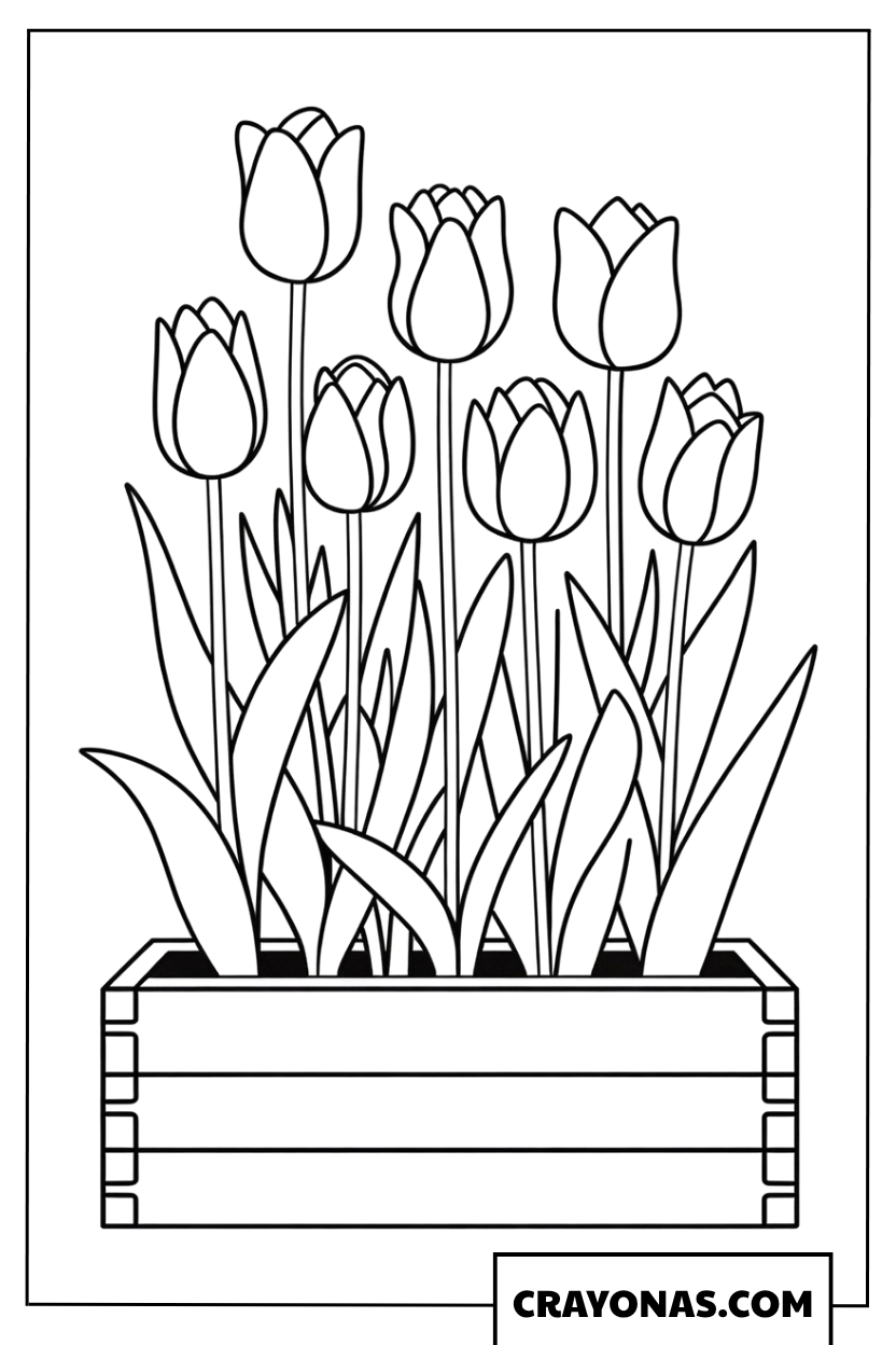 Tulips in Wooden Planter Coloring Page