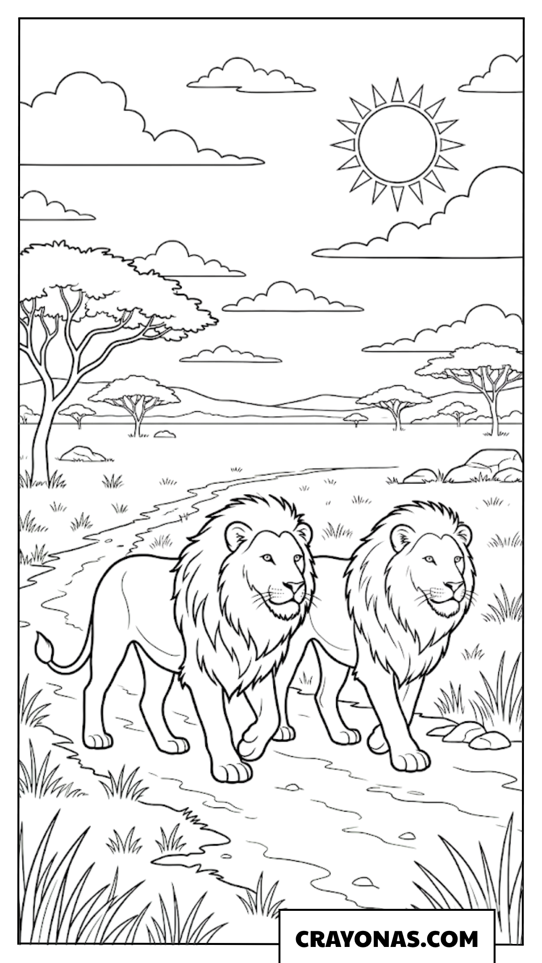 Two Realistic Lions Walking Coloring Page