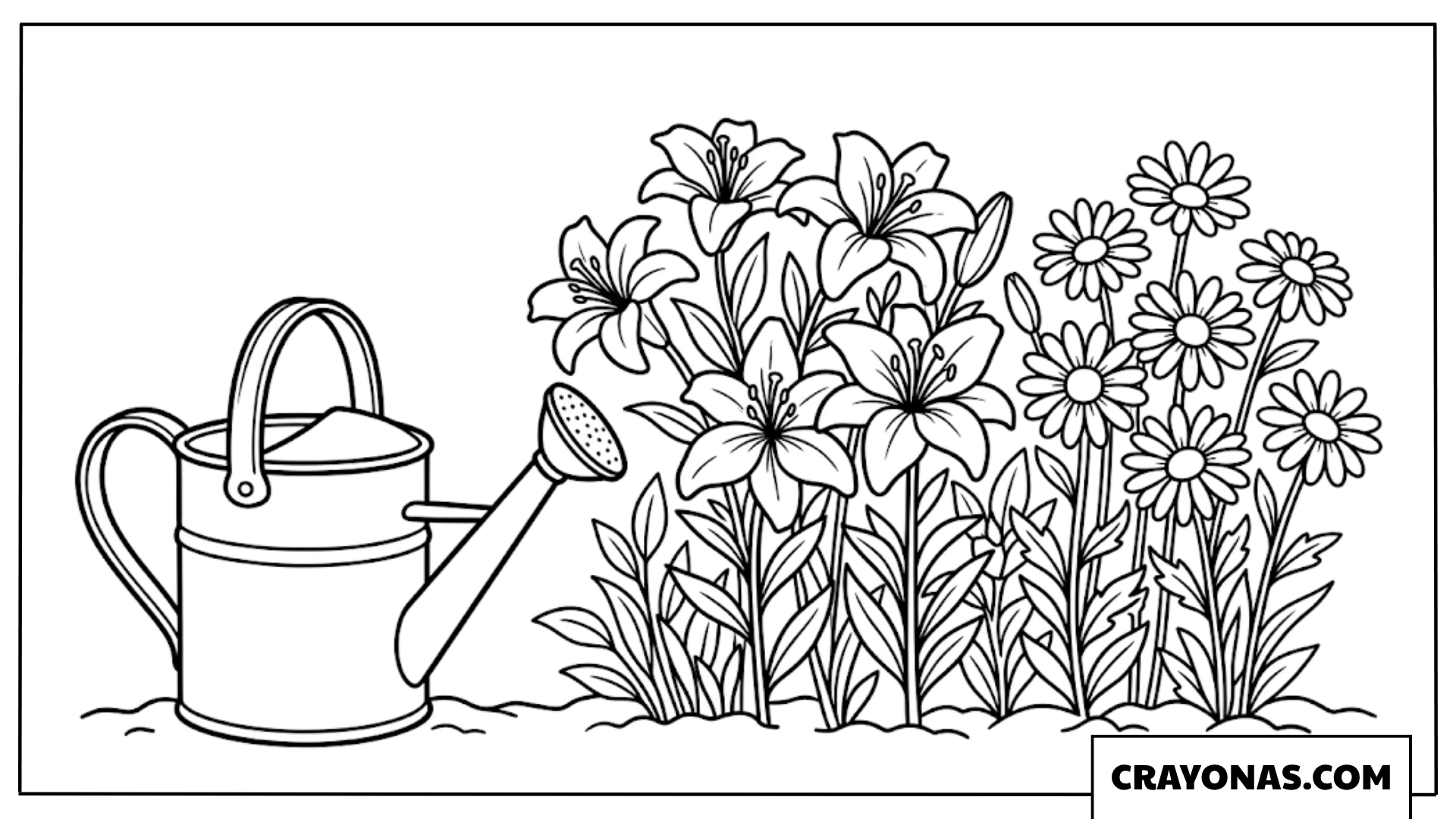 Watering Can and Lily Flowers Coloring Page