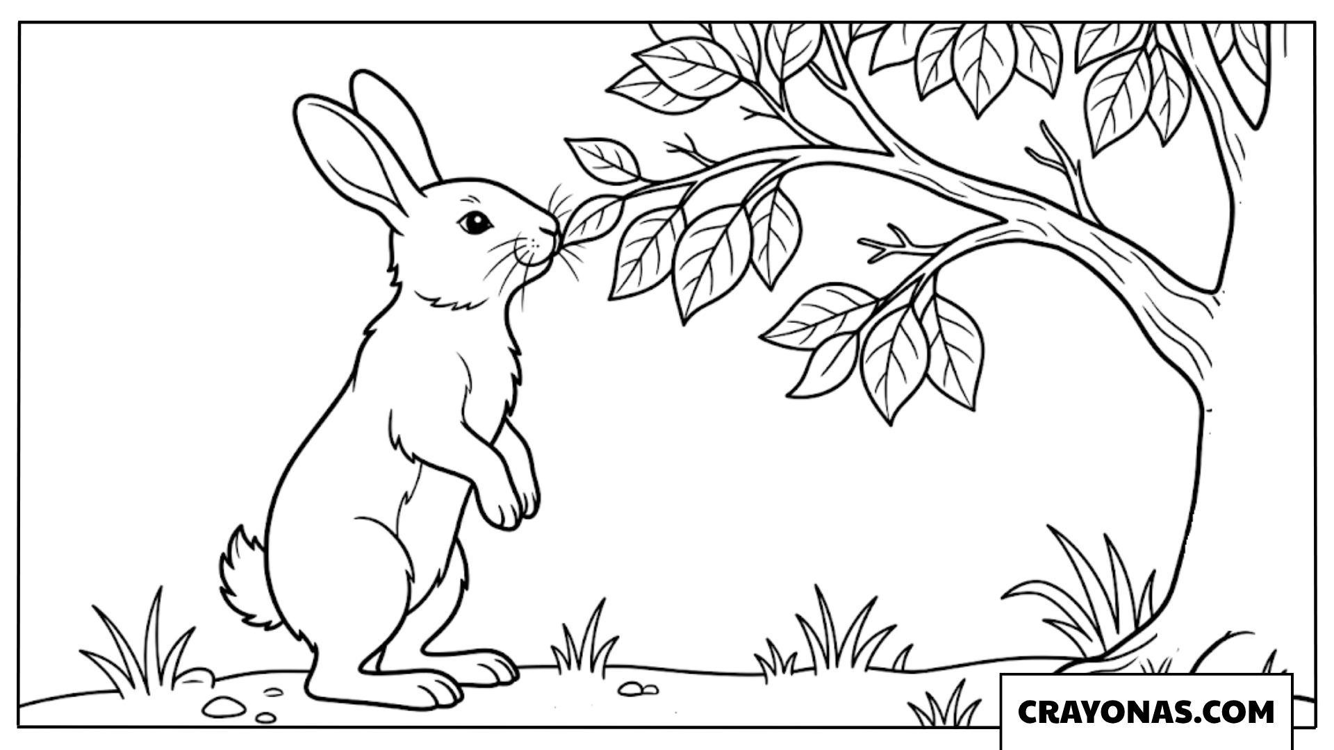 Wild Bunny Reaching for Leaves Coloring Page